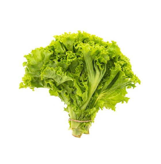 freshfishmart.xyz